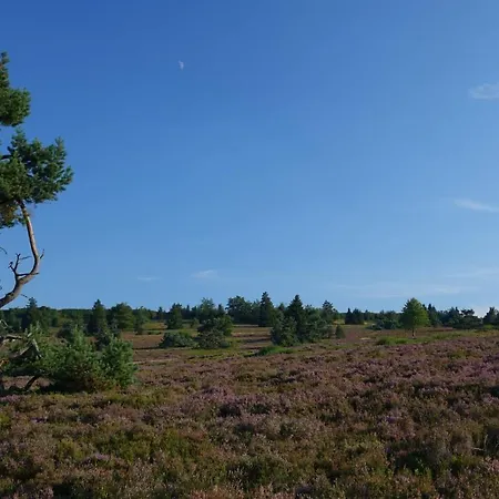 Kiefernweg 14 G *